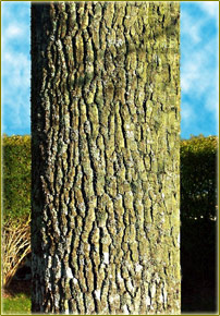 Maximiser la performance